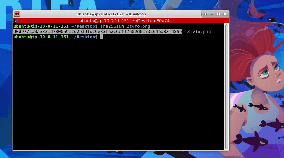 sha256sum of the extracted Ztvfo.png in the lab terminal