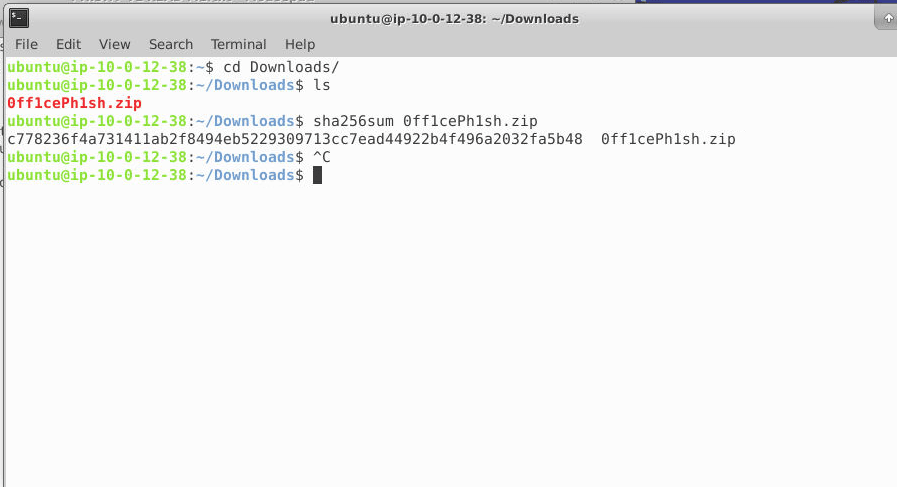 sha256sum of the kit zip, ending fa5b48