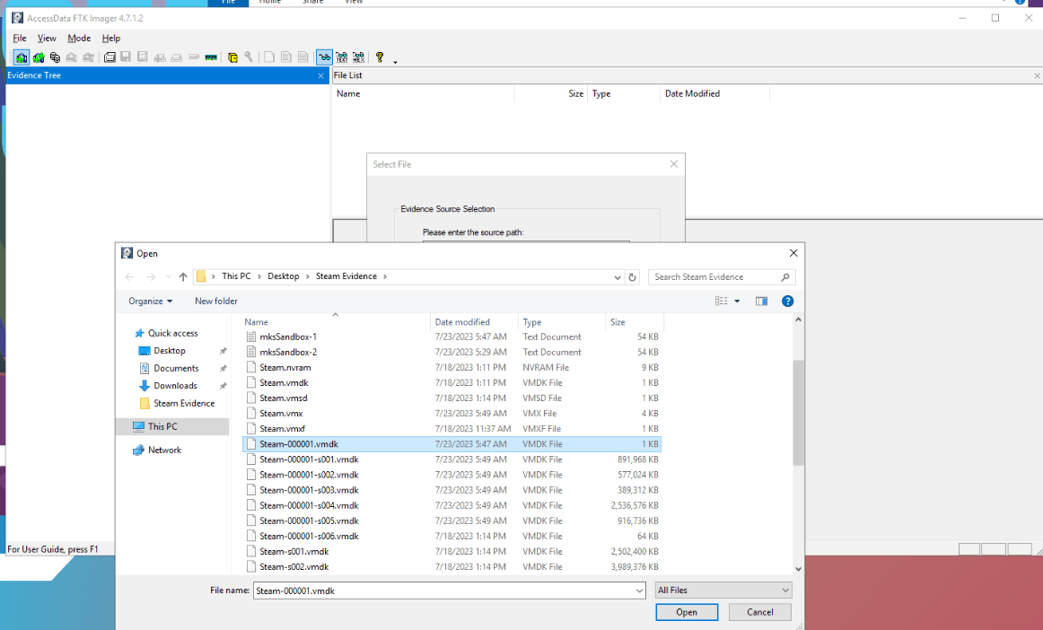 Loading Steam-000001.vmdk, the descriptor file, into FTK Imager